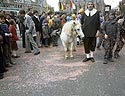 Cheval défilé sur la grande place - Kattenstoet 1977 - fête des chats - Ieper - Ypres - © Norbert Pousseur
